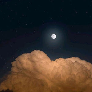 Meet your Posher, Franchesca